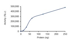 Sino Biological&nbsp;Recombinant Human KRAS Protein (AVI & His Tag), Active, Biotinylated